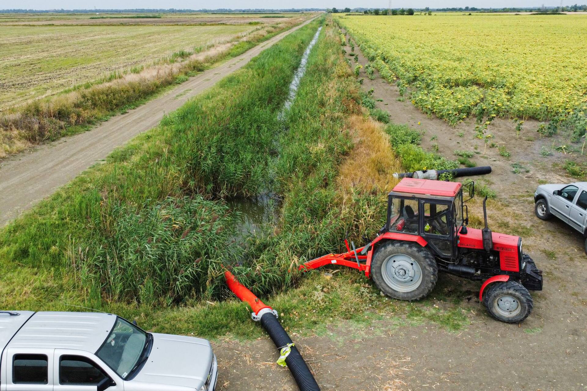 Krisztiazugi-holtág (1).jpg