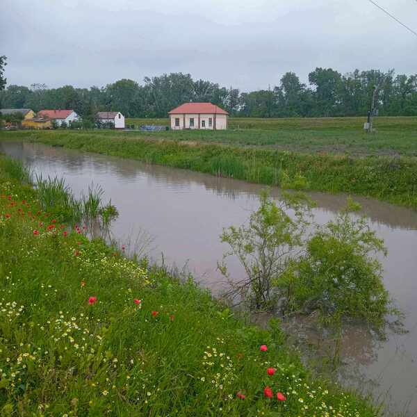 Fazekaszugi-főcsatorna (3).jpg