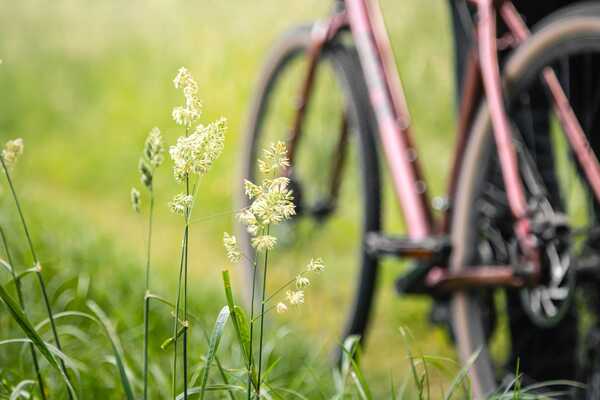 man-with-bicycle-forest-grass.jpg